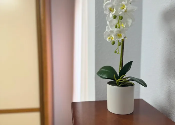 Luminoso Con Plaza De Garaje * Santander