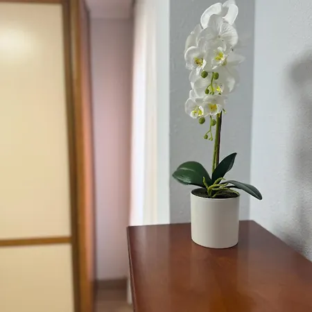 Luminoso Con Plaza De Garaje * Santander